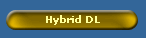 Hybrid DL