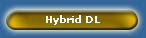 Hybrid DL